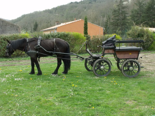 Voici notre calèche 6 places que l'on attèle avec 1 ou 2 chevaux.