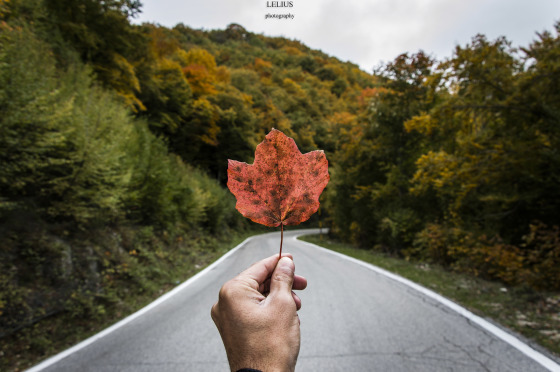 Autunno