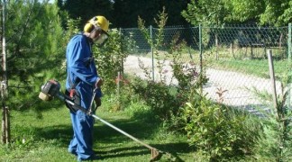 Entretien parcs et jardins