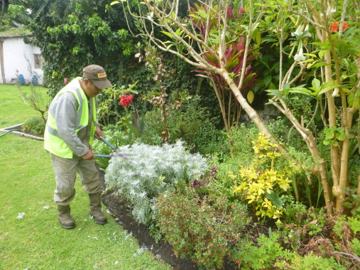 MANTENIMIENTO JARDINES