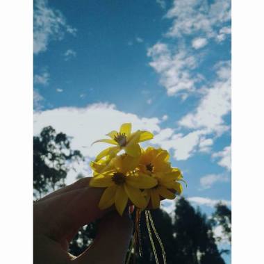 Fotografía