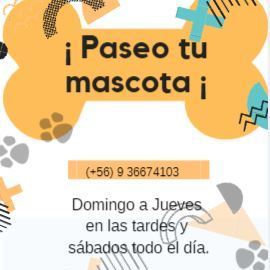 Paseador De Perros
