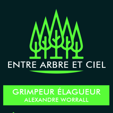 Entre Arbre Et Ciel