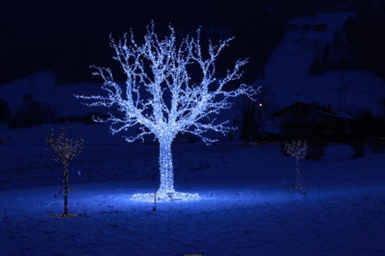 Arbre de Noel en Autriche