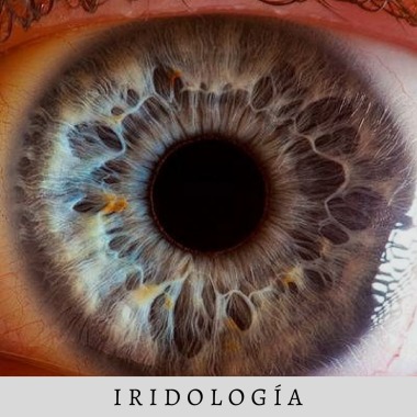 Evaluación del Organismo a través de la Iridología