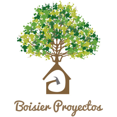 Boisier Proyectos