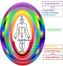 LES CHAKRAS DISTRIBUENT L'ENERGIE DANS NOTRE CORPS ET EXPRIME L'ETAT DE NOTRE AURA