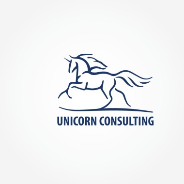 Pfa Nedelcu Iuliana Expert Contabil Auditor