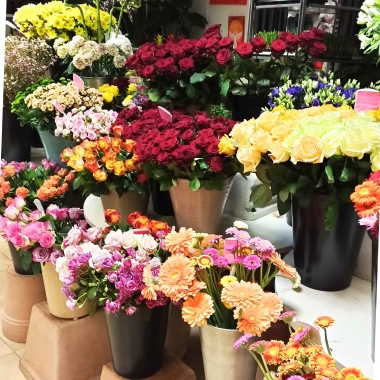 Fiori Florianne