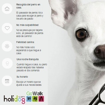 Elpaseadordeperro