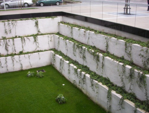 Jardinera en Edificio Barrio  El  Golf