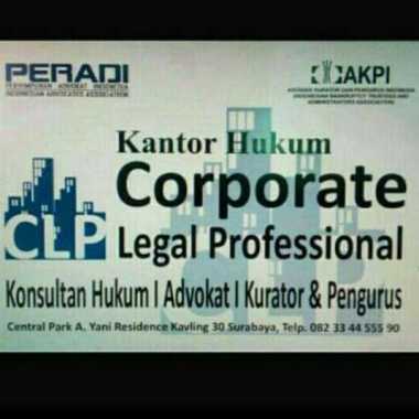 Corporate Legal Professional