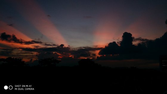 Sun rays