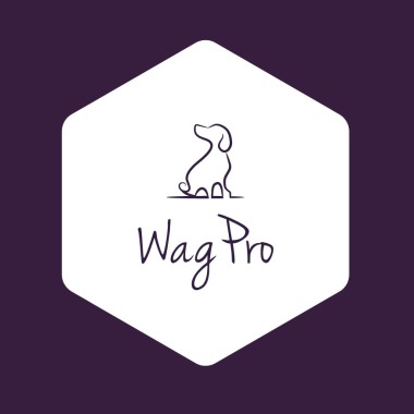 Wagpro Dog Training