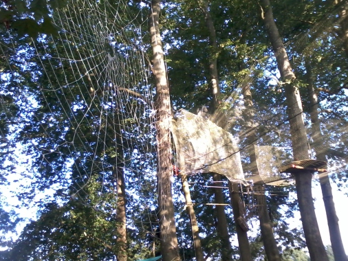 Créateur et constructeur de parcours dans les arbres, ateliers divers, installations de lignes de vie, parcours à sensations, parcours aventure d'arbre en arbre et installations de parcours sur filets sans baudriers