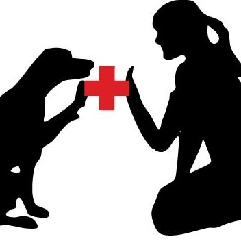 My Little Dog Training, Llc