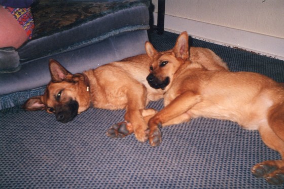 Sisters, sisters there were never such two devoted sisters