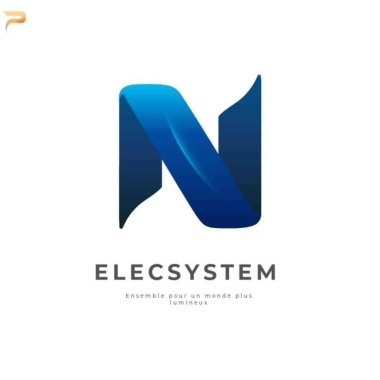 Elecystem Corporation