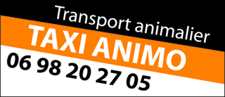 Taxi Animo