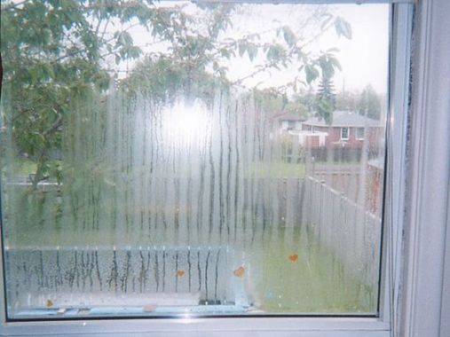 Foggy Window Glass Replacement