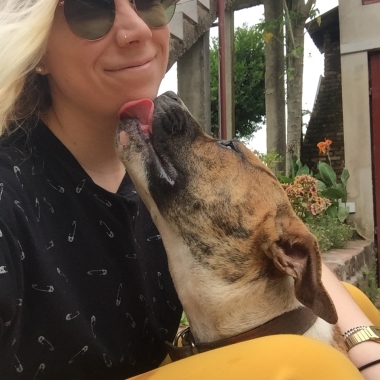 Bruna Dogwalkers