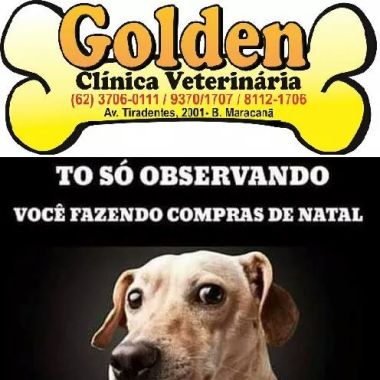 Clinica Veterinária Golden