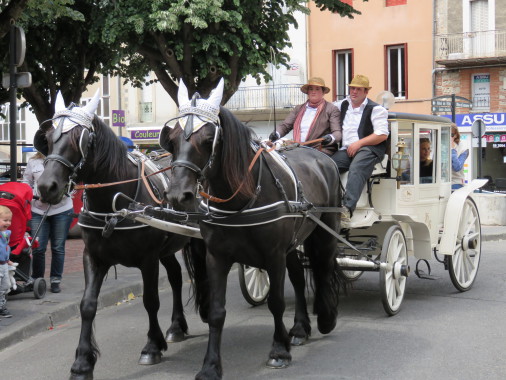 Nos chevaux de mérens et nous!