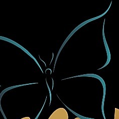 Chrysalis Embroidery And Promotions
