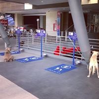 Diseño y fabricación de estaciones para petzone en plazas comerciales