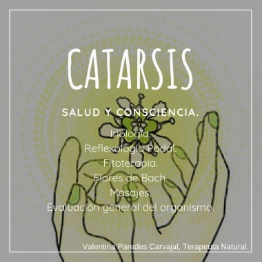 Catarsis Salud Y Consciencia