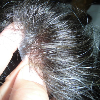 Peluqueria Juan Pablo ´´X Los Pelos´´