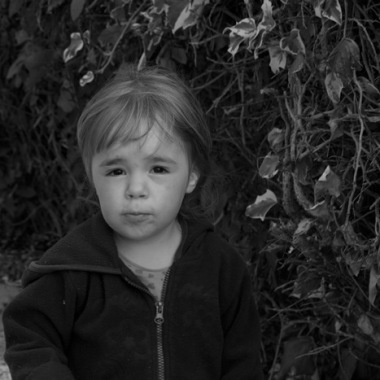 Andrée Photos