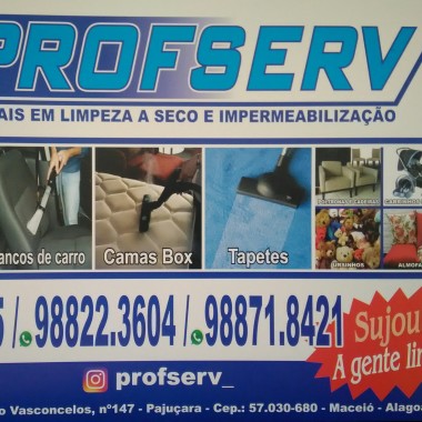 Profserv Profissionais Em Limpeza A Seco