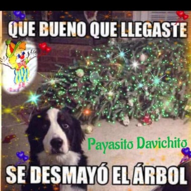 Trabajo Particular