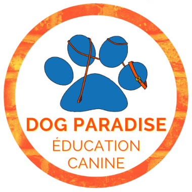 Dog Paradise - Éducation Canine