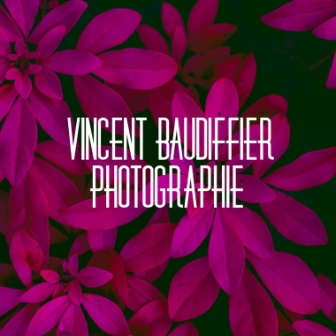 Vincent Baudiffier