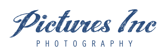 Pictures Inc