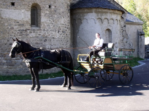 La calèche 4 places pour des balades, aniversaire d'enfant...
Tiré par un cheval.