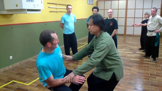 Cours de Xingyi Quan