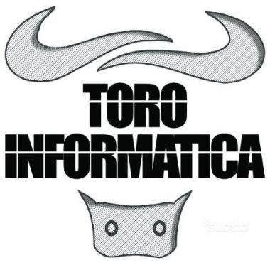 Toro Informatica