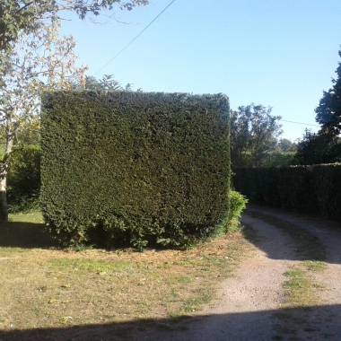 Naturaservice