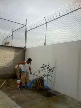 Pintura