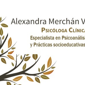 Psicóloga Clínica - Niños Y Adultos