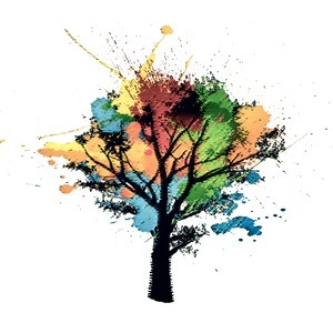 Mindscape Studios