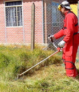 Mantenimiento de zonas verdes.