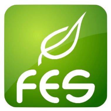 Forêt Environnement Services