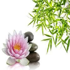 zen