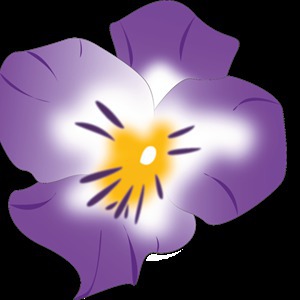 Violette Gallimard Photographie