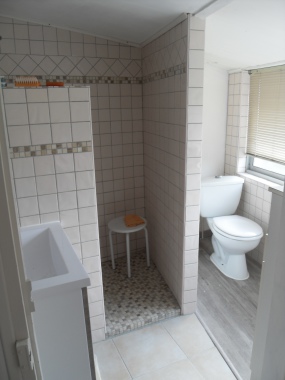douche et pose parquet dans le wc