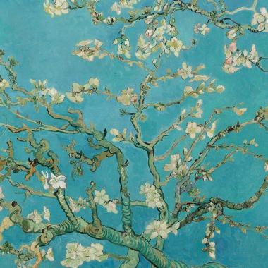 V. Pronesti  Psychologue, Psychothérapeute, Art-Thérapeute